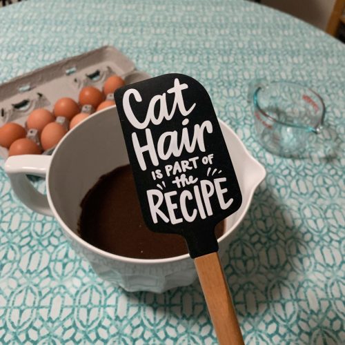 Cat Hair Is Part of The Recipe Spatula With A Wooden Handle 10