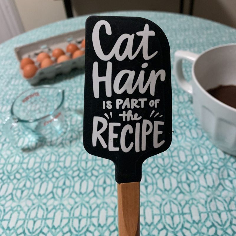 Cat Hair Is Part of The Recipe Spatula With A Wooden Handle 2