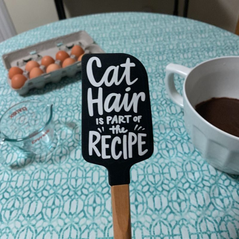 Cat Hair Is Part of The Recipe Spatula With A Wooden Handle 6