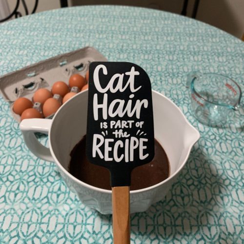 Cat Hair Is Part of The Recipe Spatula With A Wooden Handle 9