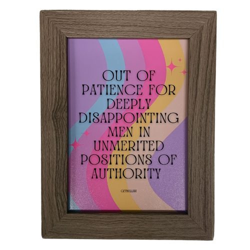 Disappointing Men in Unmerited Positions of Authority Framed Feminist Wall Art Print GetBullish Original Quote Sign 5