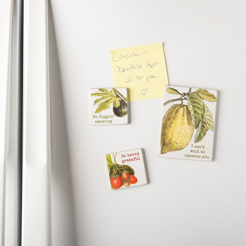 Fruit Puns Magnetic Memo Holder Set 3 Magnets on a Metal Gift Backing 2