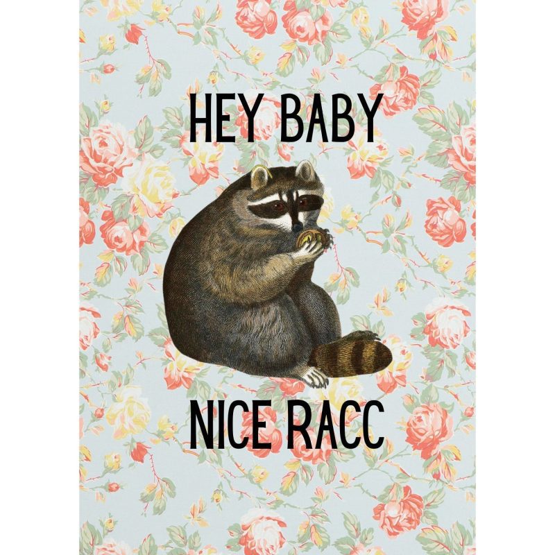 Nice Racc Vintage Raccoon Illustration Framed Wall Art Print GetBullish Original Quote Sign 2