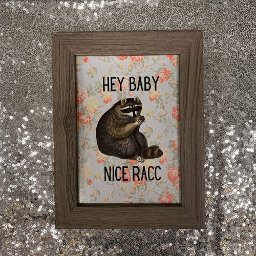 Nice Racc Vintage Raccoon Illustration Framed Wall Art Print GetBullish Original Quote Sign 4