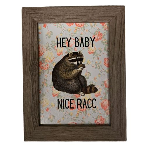 Nice Racc Vintage Raccoon Illustration Framed Wall Art Print GetBullish Original Quote Sign 5