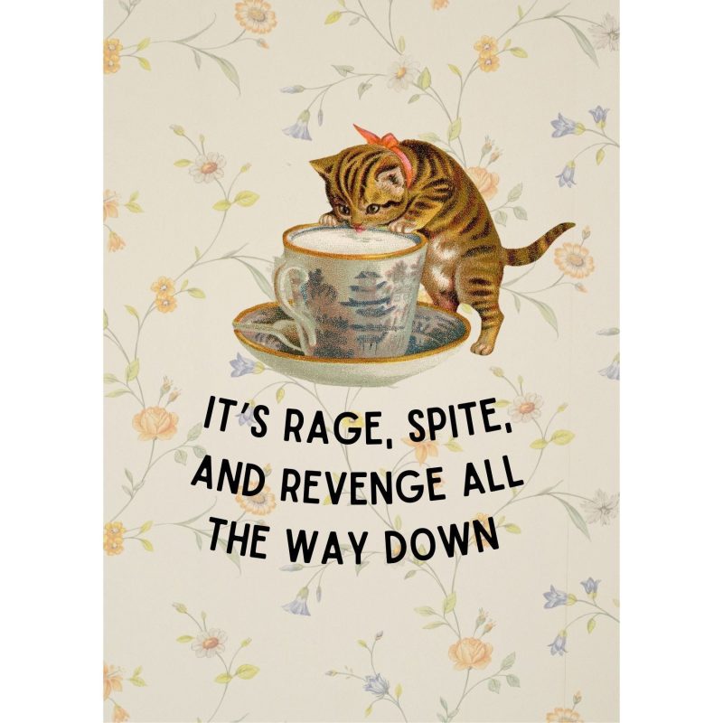 Rage Spite Revenge Vintage Cat Framed Wall Art Print GetBullish Original Quote Sign 2