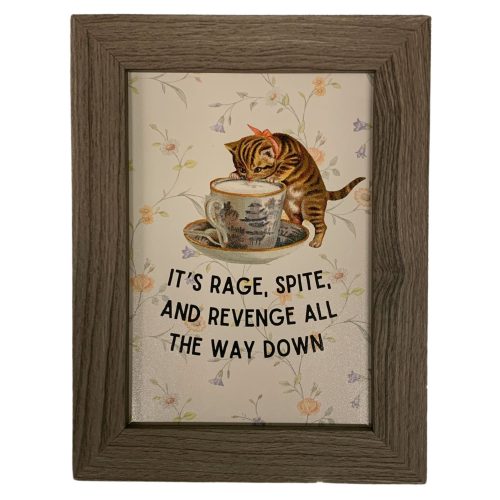 Rage Spite Revenge Vintage Cat Framed Wall Art Print GetBullish Original Quote Sign 5