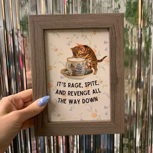 Rage Spite Revenge Vintage Cat Framed Wall Art Print GetBullish Original Quote Sign 6