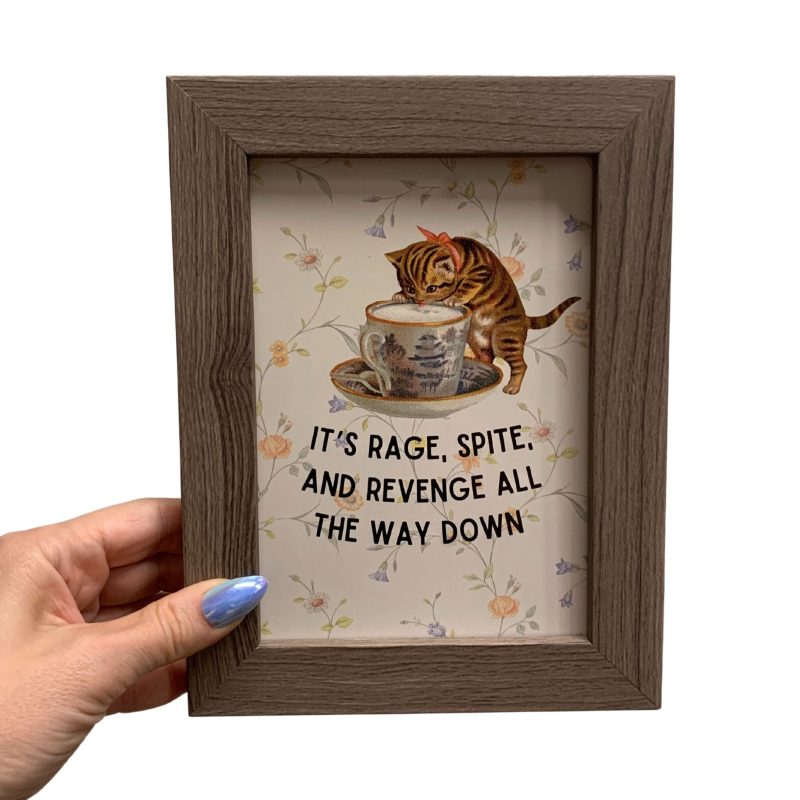 Rage Spite Revenge Vintage Cat Framed Wall Art Print GetBullish Original Quote Sign