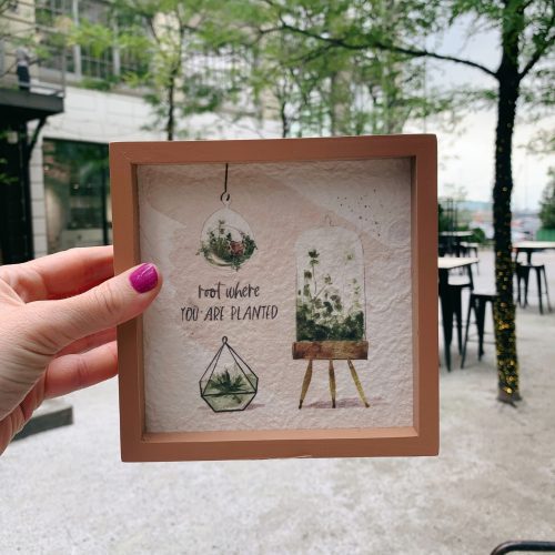 Root Where You Are Planted Inspo Box Sign Plant Lovers Square Inset Wooden Decor 6 x 6 3