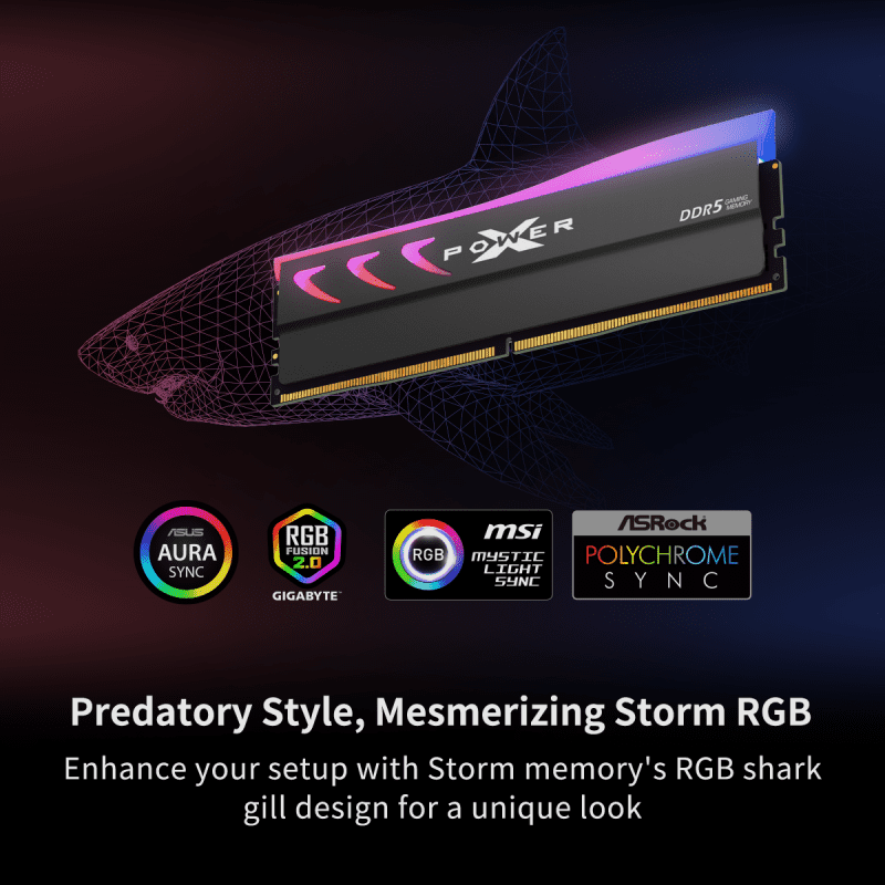 Storm DDR5 RGB PT 4 1 5794f57a c65d 4806 a7ed aee7b2fb1884