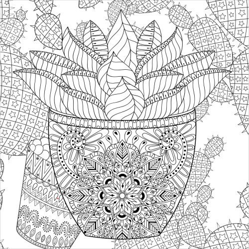 Succulents Adult Coloring Book 31 Relaxing Plants Illustrations 4 b9cfcf89 0c95 4d39 b4fc 93d2a79047fd