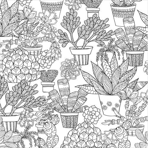 Succulents Adult Coloring Book 31 Relaxing Plants Illustrations 5 2ca49f3b 2f7b 4256 a1b0 455aa338a7da