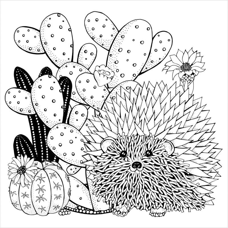 Succulents Adult Coloring Book 31 Relaxing Plants Illustrations 7