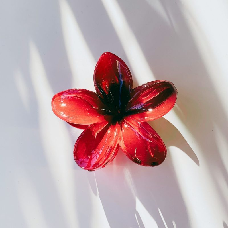 Velvet Claws Red Flower Hair Claw Claw Clip in Velvet Travel Bag 6